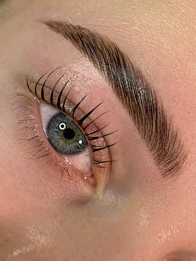 Your Eyelashes and eyebrows